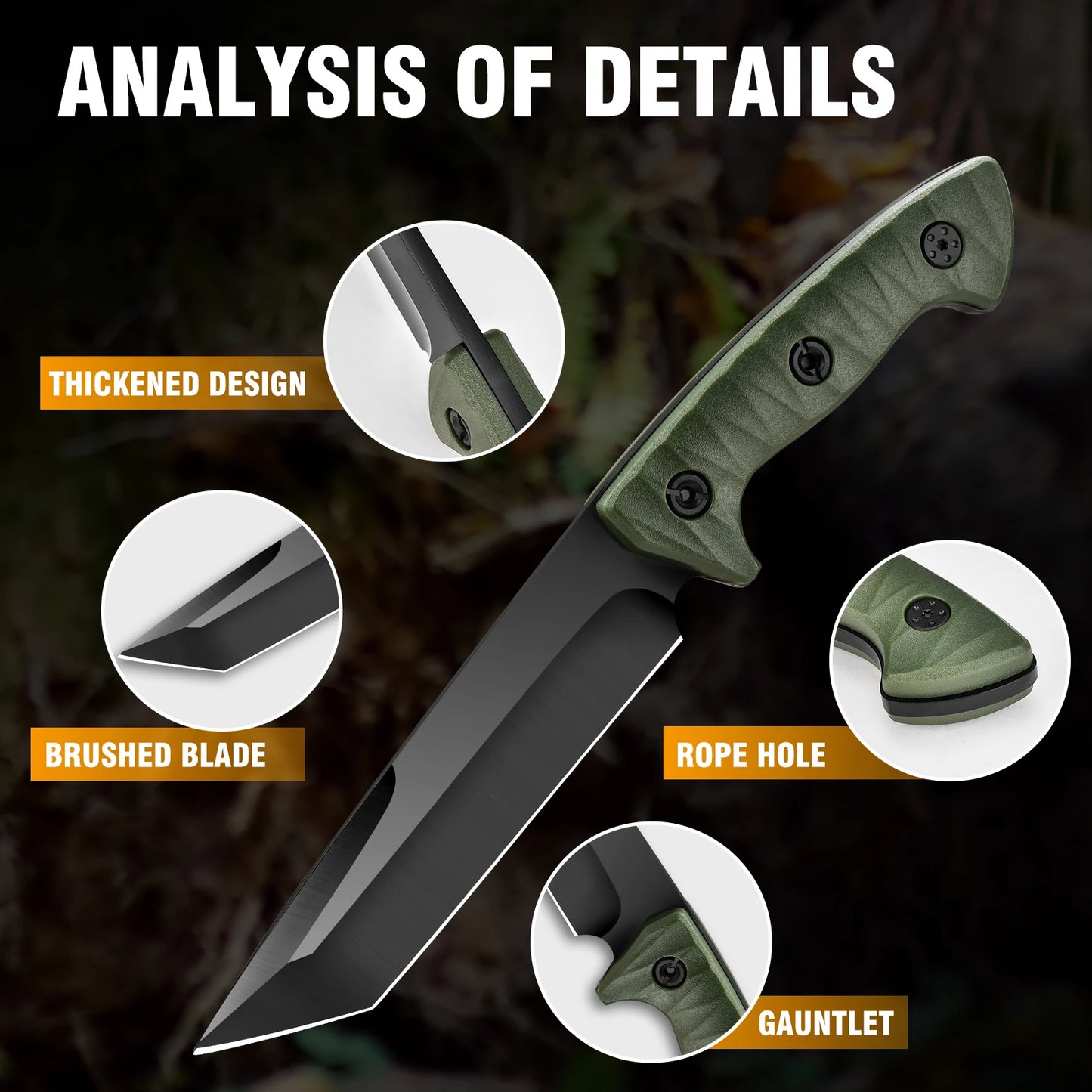 Rainforest Survival Knife - Lightweight, Stainless Steel with Wooden Handle & Spear Point Blade for Outdoor Fishing and Wilderne